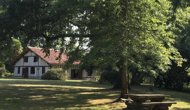 Traditional farmhouse, beautifully renovated with a pool in the forest