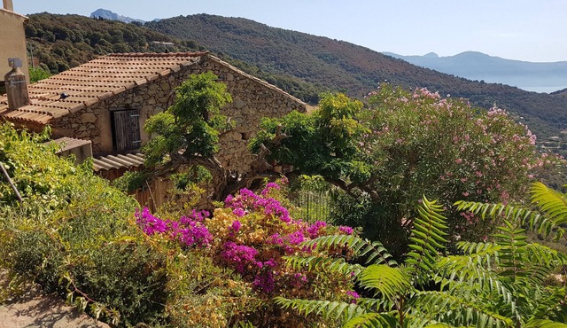 Traditional house, spectacular view of the Gulf of Porto