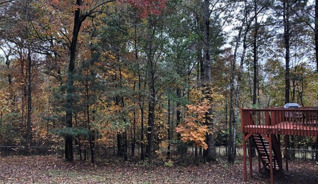 Traditional House, Historic Cartersville - 4 Bedrooms - 8 Guests - Entire Place