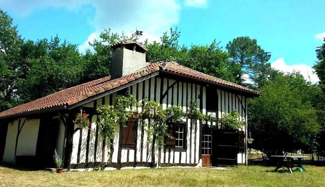 Traditional Landes house on secluded airial, secure swimming pool