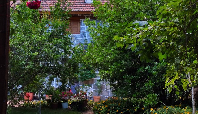 Traditional stone house