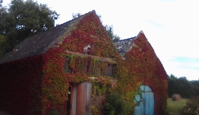 Traditional stone house (renovated in 2022)