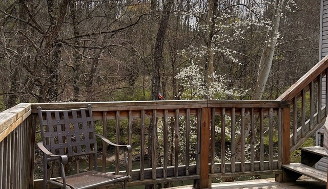 Trail 10 Hideaway, Entire Apartment in Freeman, WV