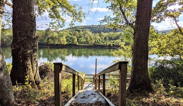Trail's End River Cabin ~ remote with fiber wifi