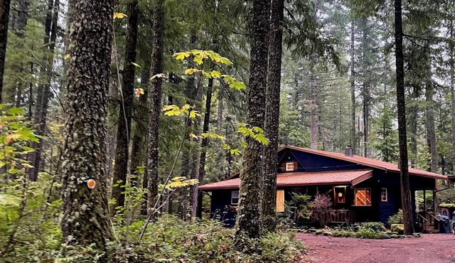 Trail's End Cabin · Hot Tub · Fire Pit · Mt Hood Getaway · Pet-Friendly