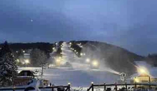 Trail View At Greek Peak