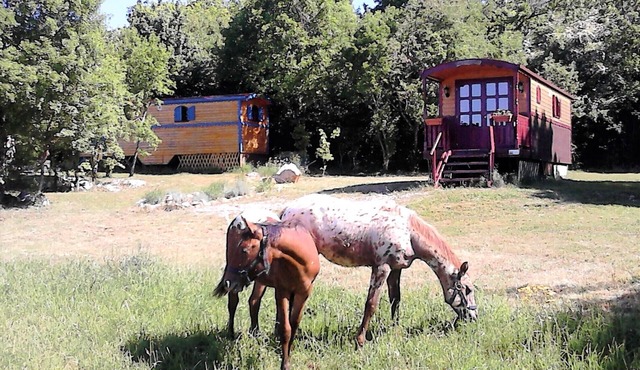 Trailer hire between the Cevennes and the Circus Navacelle La Bleue