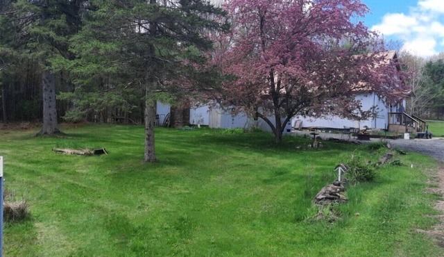 Trailside Copper