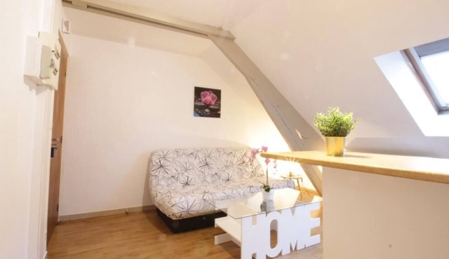 Tramway Jaures Pavillon Cosy Proche Gare 11