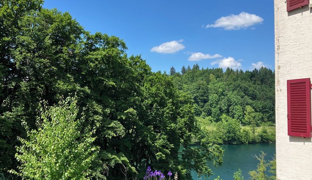 Tranquil 2-bedroom apartment with sea-view in adorable Luzern neighborhood