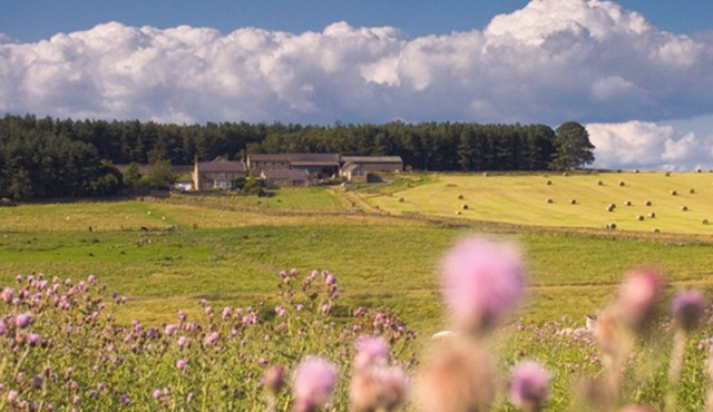Tranquil 3 Bed - All En Suite - Cottage in Hexham