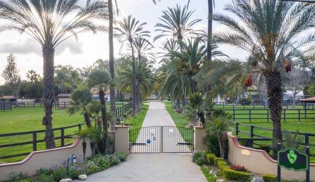 Tranquil 9 Acre Retreat, Horse Farm, 11mi to beach