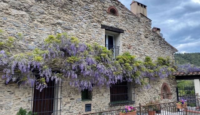 Tranquil apartment in an ancient Mas between the Pyrenees and the Mediterranean