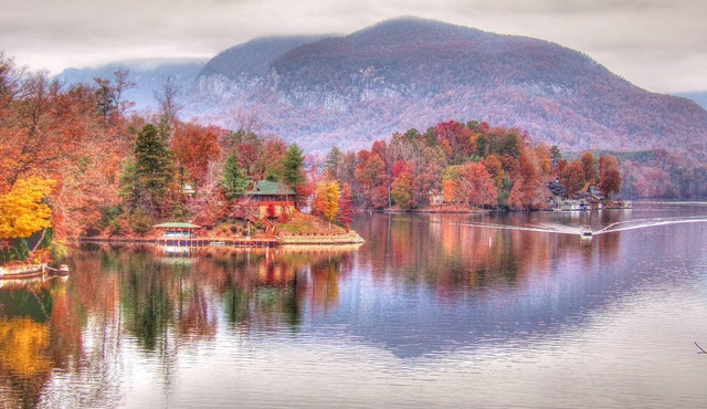 Tranquil Blue Ridge Mountain Retreat on 10 Acres, Dog Friendly, Firepit