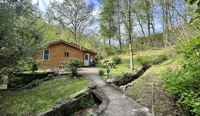 Tranquil cabin on 2 acres, creek, bbq, fire pit 1min to dwtn Gat, 5 min P. Forge