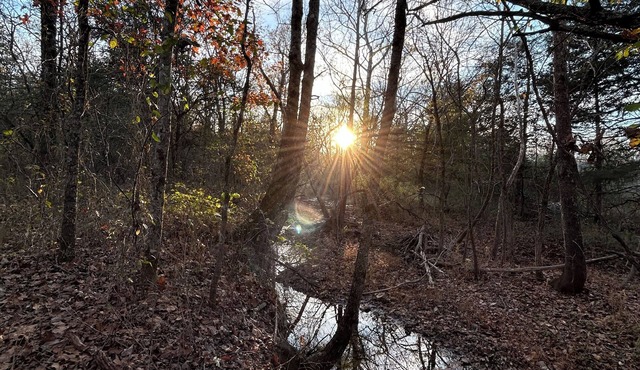 Tranquil cabin with AC and 2 creeks on secluded 5 acres with WiFi