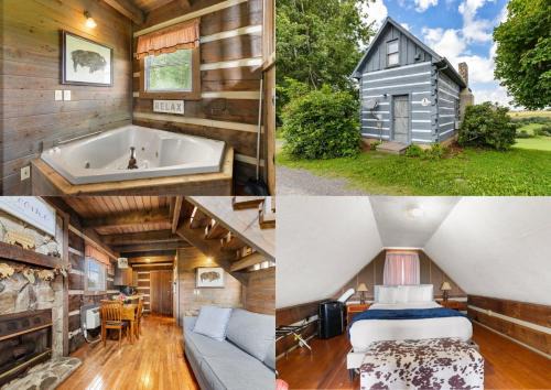 Tranquil Cabin with Jacuzzi, Porch Swing, and Mountain Views! Cabin 3