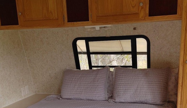 Tranquil Camper with a View