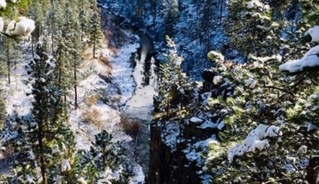 Tranquil Creekside Cottage in the Heart of the Beautiful Black Hills