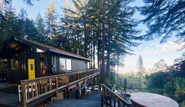 Tranquil Designer Forest Retreat- hot tub, dog friendly, ocean view, 4bd/ 1ba