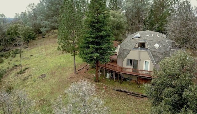 Tranquil dome in Gold country forest