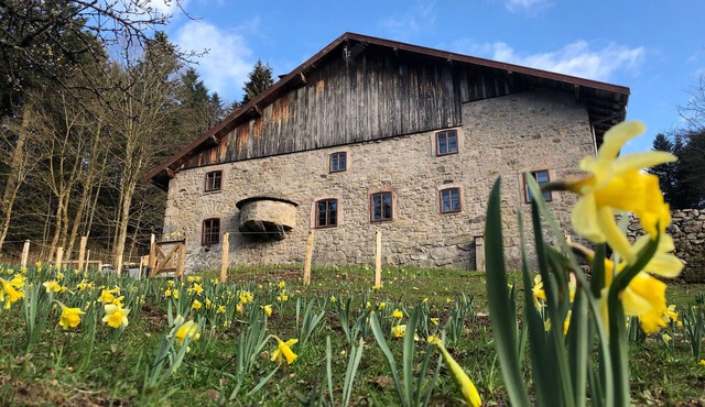 Tranquil Farmhouse Retreat in Vosges with Parking
