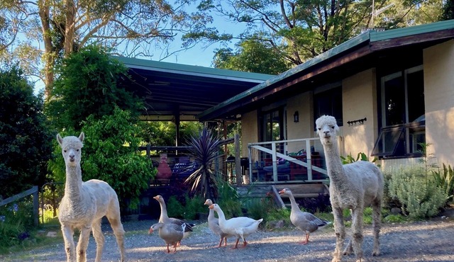 Tranquil farmhouse with sea view, dog friendly