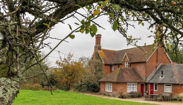 Tranquil Forest Retreat in Brockenhurst