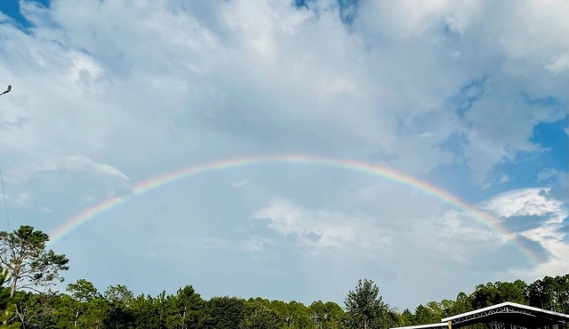 Tranquil gated Rv/Camp Site with WiFi in charming Keaton Beach FL 1K