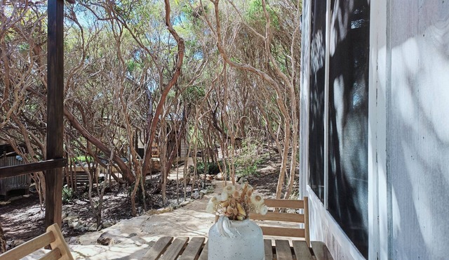 Tranquil getaway amongst Melaleucas