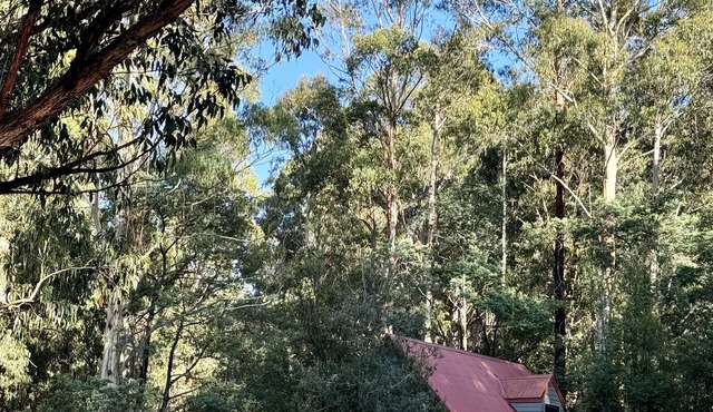 Tranquil getaway amidst nature in Icy Creek, near Toorongo Falls & Mt Baw Baw.