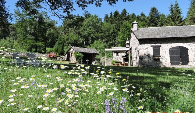 Tranquil Getaway: Cozy Home with Forest Views, Fireplace, and Family Amenities