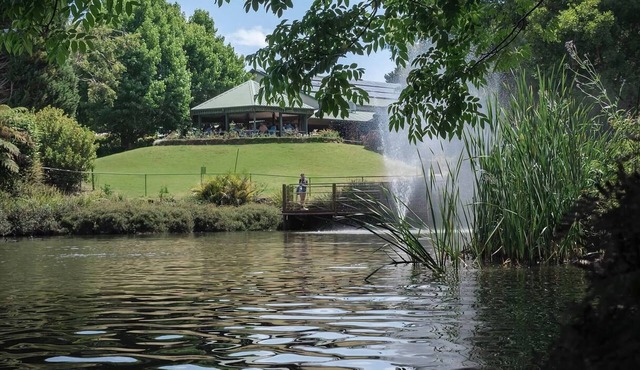 Tranquil Mountain Escape Tamborine Mountain