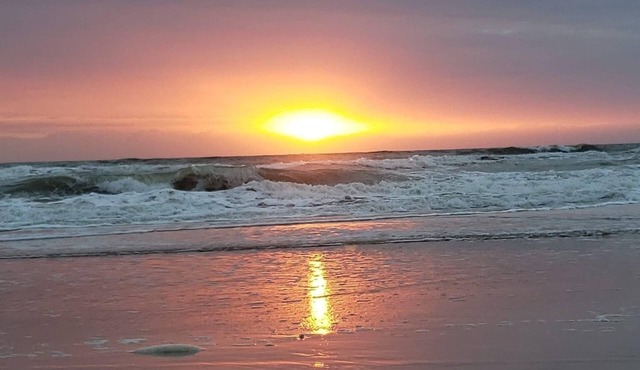 Tranquil Moments Beautiful Updated One Bedroom, Full Kitchen Sleeps 4