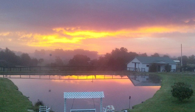 Tranquil morning horizons watching the horses graze in your own private space.