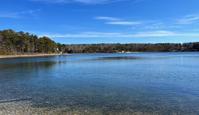 Tranquil Oasis: A Beautiful Water-Front Home