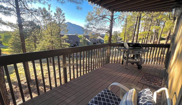 Tranquil Retreat In the Pines w/Mountain Views! Updated 1 Bed 1 Bath