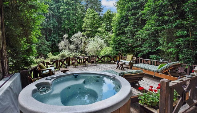 Tranquil Retreat on Austin Creek, Surrounded by Forest Views