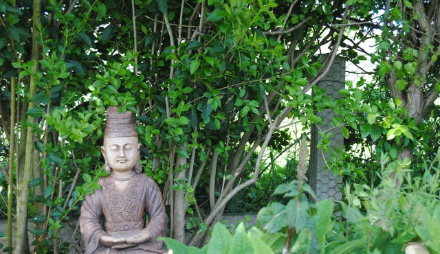 Tranquil, rural retreat with outstanding views and gardens.