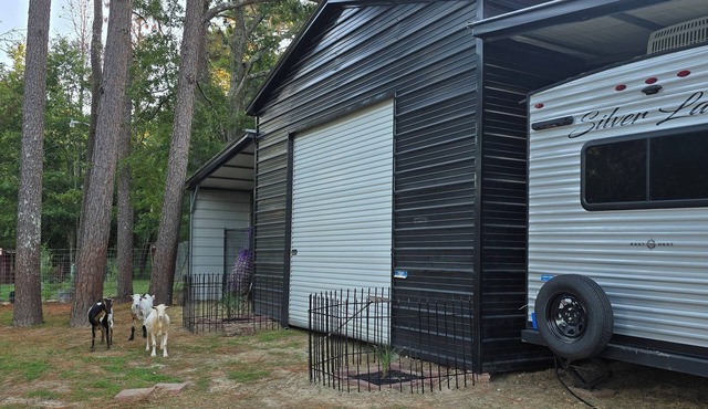 Tranquil RV in charming Aiken in private paddock with room for your horses.