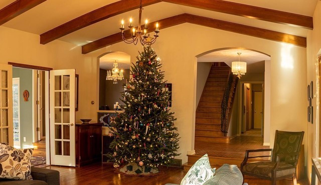 Tranquil UNIQUE 3-Bedroom Hideaway Nestled in the Trees with Screened in Porch