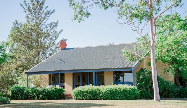 Tranquil Vale Vineyard