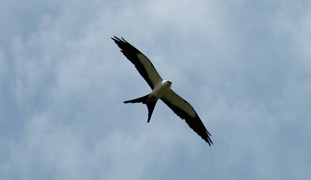 Tranquil Waterfront 3-2 home; Great year-round fishing, outdoor activities