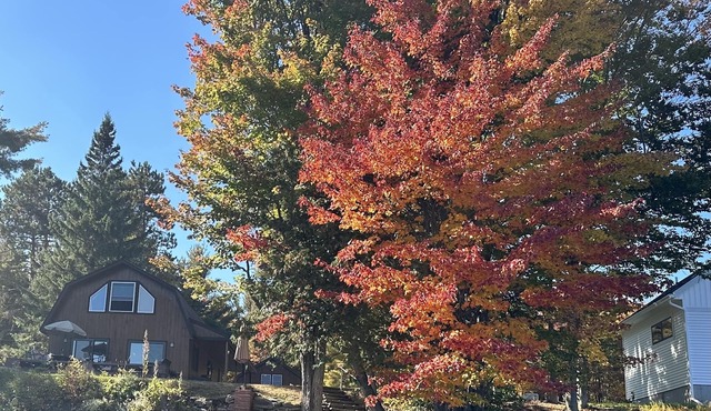 Tranquil waterfront home