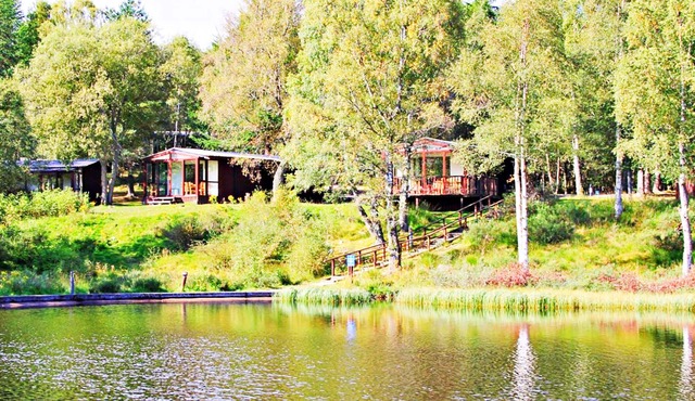 Tranquil Woodland Condo Resort