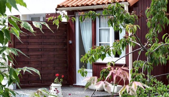 Tranquility in the Marais Poitevin