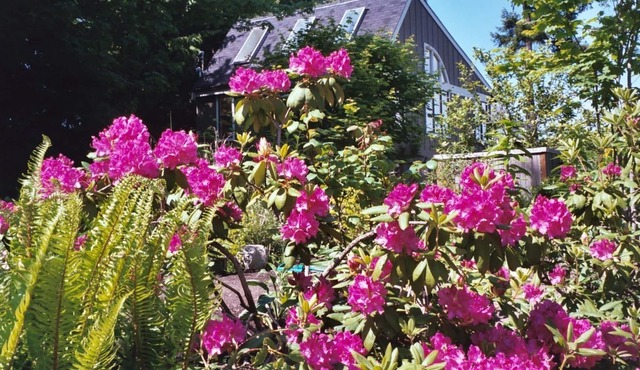 Tranquility and Peaceful Guest House Offers Guests A Quiet & Beautiful Getaway!