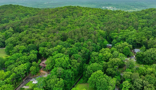 Tranquility Hideaway Cottage | Downtown Fort Payne | 2+ Wooded Acres | Wi-Fi