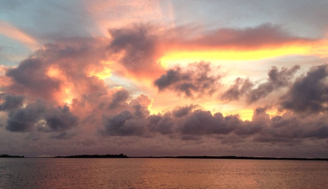 TRANQUILITY ON TIERRA VERDE