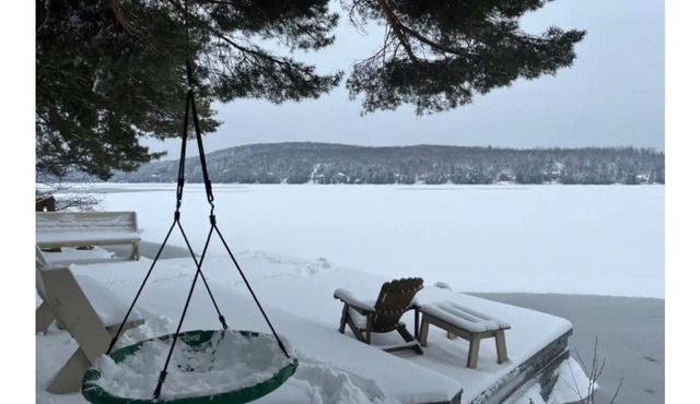 Tranquility on Trout Lake